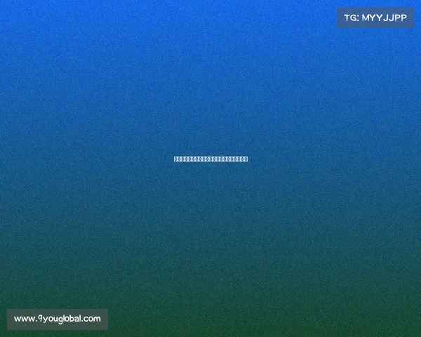 雷霆队在总决赛中展现出强大的球员再就业支持